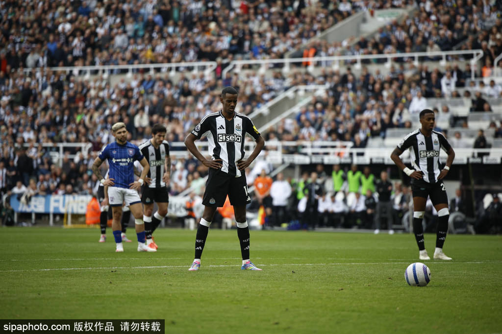 不如踏实打 不如踏实打