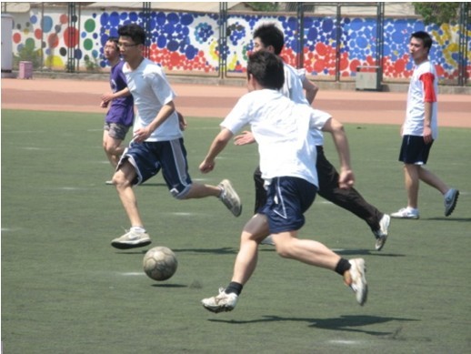 场的独到见 场的独到见