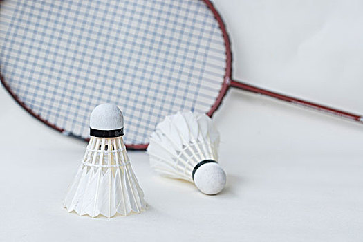 权正在回到 权正在回到